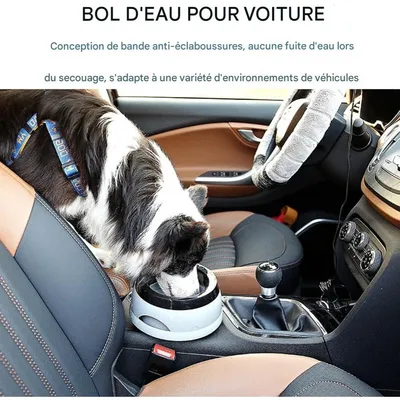 ZooVenture Bebedero para perros a prueba de derrames