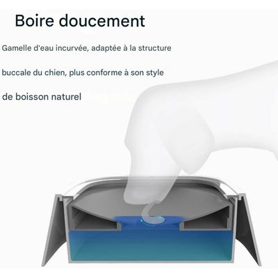 ZooVenture Anti - déversement Gamelle D'eau Pour Chiens