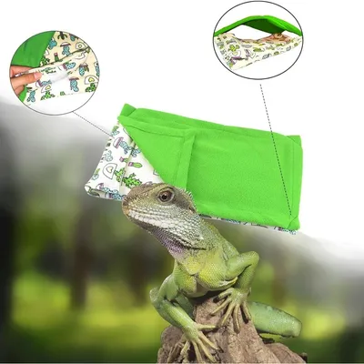 ZooVenture Lit pour dragon barbu