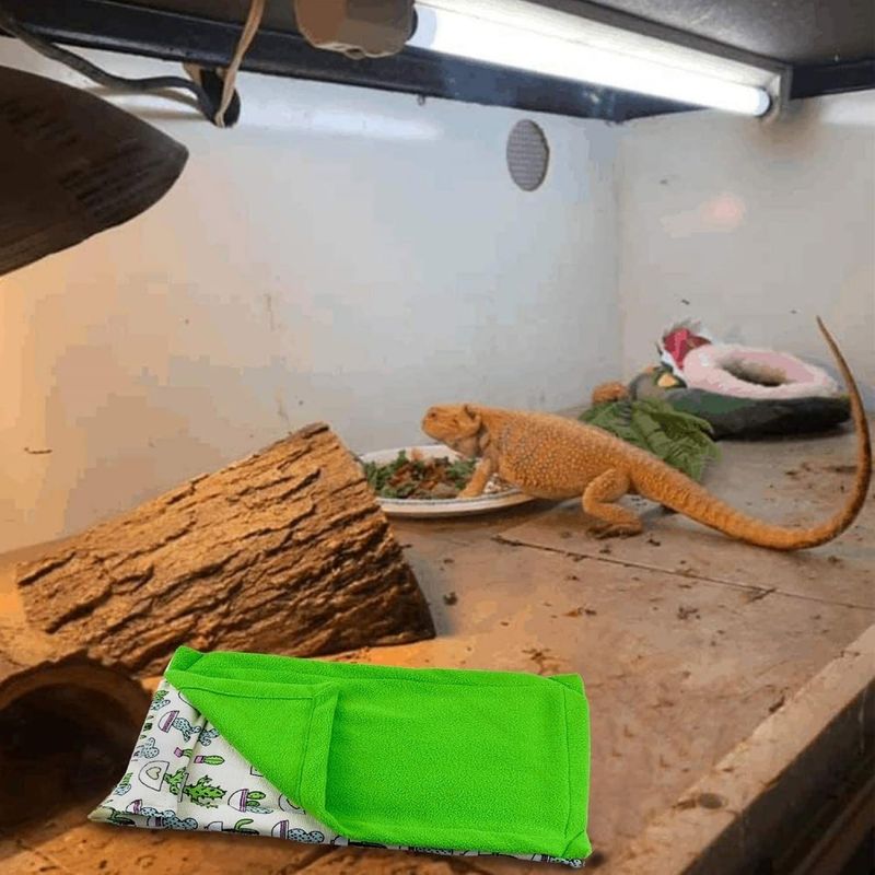ZooVenture Lit pour dragon barbu