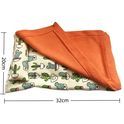 ZooVenture Lit pour dragon barbu