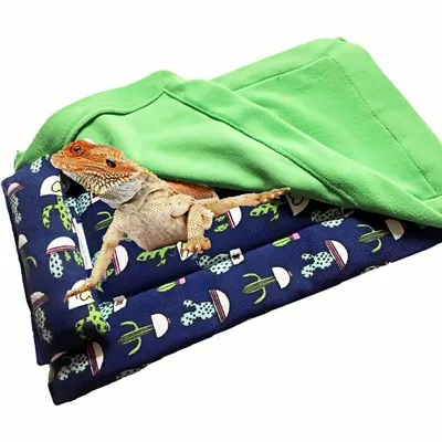 ZooVenture Lit pour dragon barbu