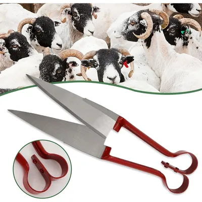 ZooVenture Cisaille à mouton double nœud