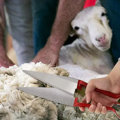 ZooVenture Cisaille à mouton double nœud