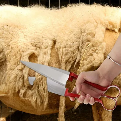 ZooVenture Cisaille à mouton double nœud