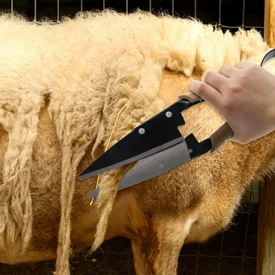 ZooVenture Cisaille à mouton double nœud