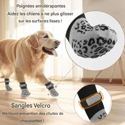ZooVenture Antidérapantes Lot De 2 Paires Chaussettes Pour Chien