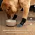 ZooVenture Antidérapantes Lot De 2 Paires Chaussettes Pour Chien