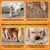 ZooVenture Antidérapantes Lot De 2 Paires Chaussettes Pour Chien