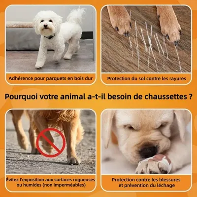 ZooVenture Antidérapantes Lot De 2 Paires Chaussettes Pour Chien