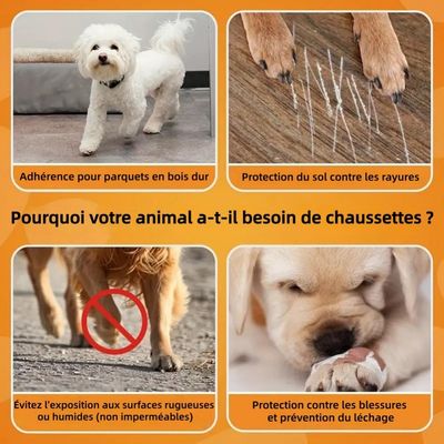 ZooVenture Rutschfeste Hundesocken, 2er-Pack
