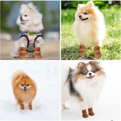 ZooVenture Hundeschuhe mit warmem Fleecefutter ZooVenture Hundeschuhe mit warmem Fleecefutter
