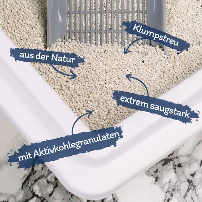 Litière pour chat Lyra Pet® GreyCat®