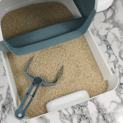 Lyra Pet® Lyra Power litière pour chats en pin agglomérante