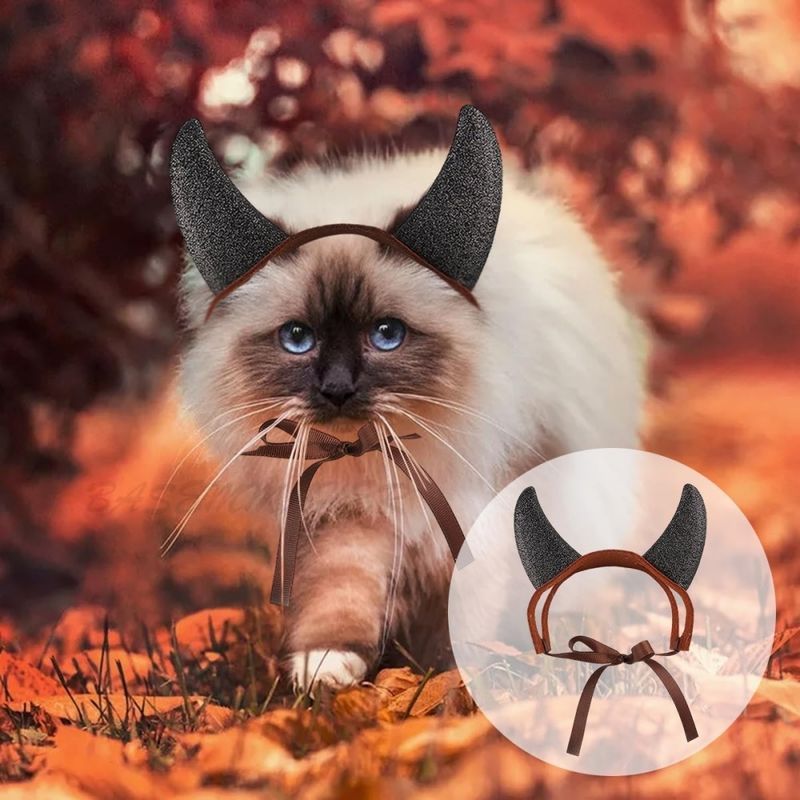 ZooVenture Costume d'Halloween pour animal de compagnie
