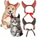 ZooVenture Costume d'Halloween pour animal de compagnie