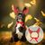 ZooVenture Costume d'Halloween pour animal de compagnie