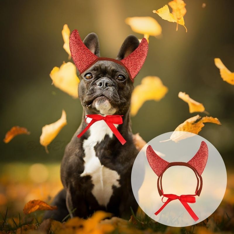 ZooVenture Costume d'Halloween pour animal de compagnie