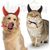 ZooVenture Costume d'Halloween pour animal de compagnie