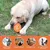 PetTribes Balle chien indestructible extra-forte pour grands chiens.