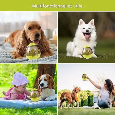 ZooVenture Jouet distributeur de croquettes pour chien