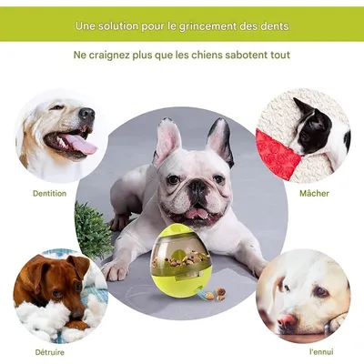 ZooVenture Jouet distributeur de croquettes pour chien
