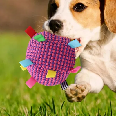 ZooVenture  Balles jouets pour chien Rose rouge