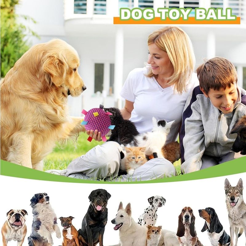 ZooVenture  Balles jouets pour chien Rose rouge