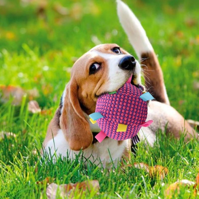 ZooVenture  Balles jouets pour chien Rose rouge