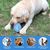 PetTribes Balle chien indestructible extra-forte pour grands chiens. Bleu