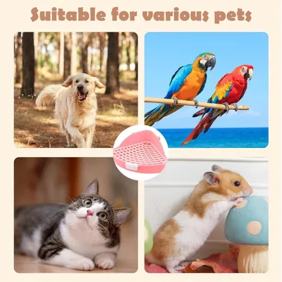 ZooVenture Bac à litière pour lapin, cochon d'Inde, hamster et chinchilla