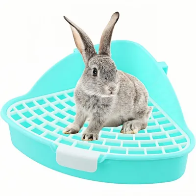 ZooVenture Bac à litière pour lapin, cochon d'Inde, hamster et chinchilla