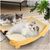 ZooVenture Griffoir pour chat 2 en 1 en sisal 39*32cm