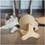ZooVenture Jouet Griffoir Boule pour Chat forme triangulaire