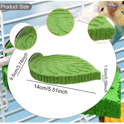 ZooVenture Meulage Perchoir pour Perroquet