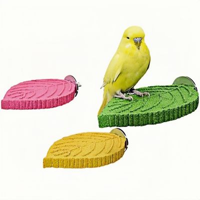 ZooVenture Meulage Perchoir pour Perroquet