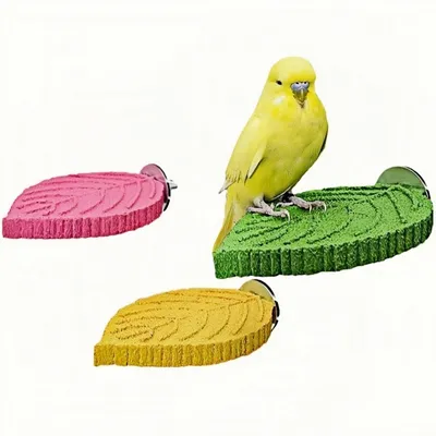 ZooVenture Muela abrasiva para percha de loro
