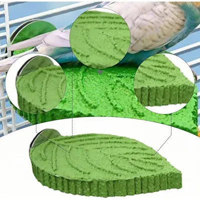 ZooVenture Meulage Perchoir pour Perroquet