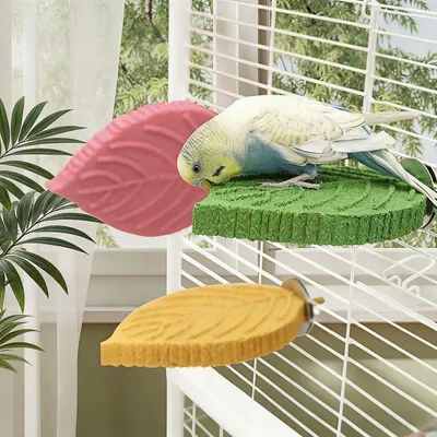 ZooVenture Muela abrasiva para percha de loro