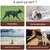 ZooVenture Anneau jouet à mâcher pour chien Diamètre 13cm