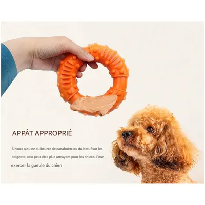 ZooVenture Anneau jouet à mâcher pour chien Diamètre 13cm