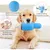 ZooVenture Stress Relief Jouet en Peluche pour Chiens
