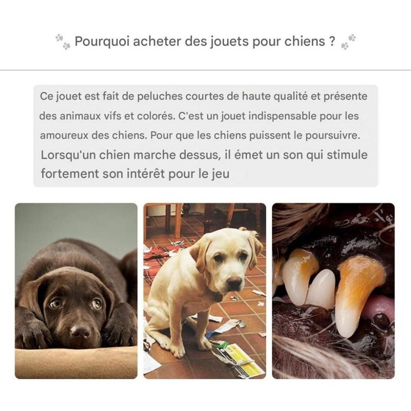 ZooVenture Jouet en peluche pour chien