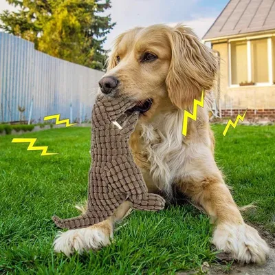 ZooVenture Jouet en peluche pour chien