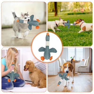 ZooVenture Jouet à Mâcher pour Chien