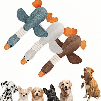 ZooVenture Jouet à Mâcher pour Chien