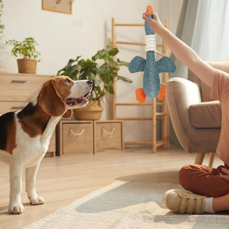 ZooVenture Jouet à Mâcher pour Chien