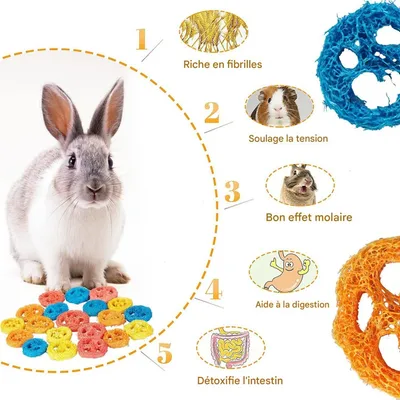 ZooVenture Jouets à mâcher en luffa naturel pour rongeurs et cochons