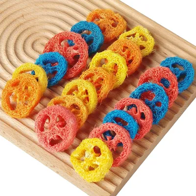 ZooVenture Jouets à mâcher en luffa naturel pour rongeurs et cochons
