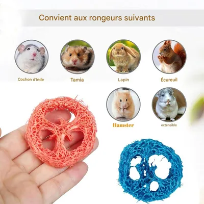 ZooVenture Jouets à mâcher en luffa naturel pour rongeurs et cochons